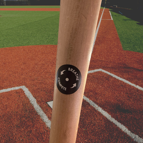 Game Ready - Bat Knob Stickers – Applied Vision Sports